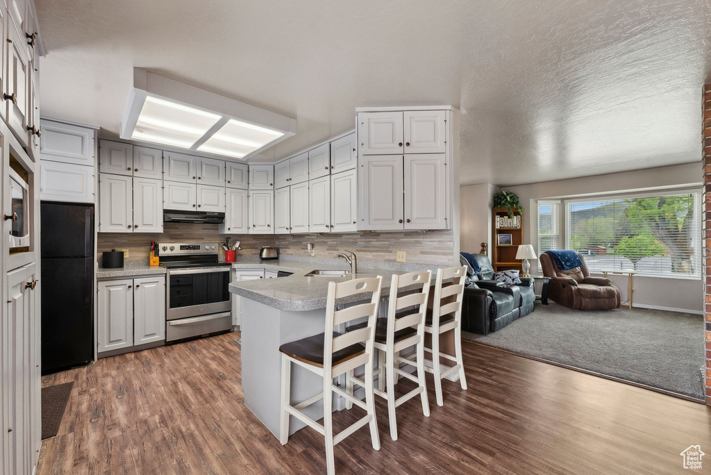Kitchen featuring stainless steel electric range, freestanding refrigerator, under cabinet range hood, and wood finished floors