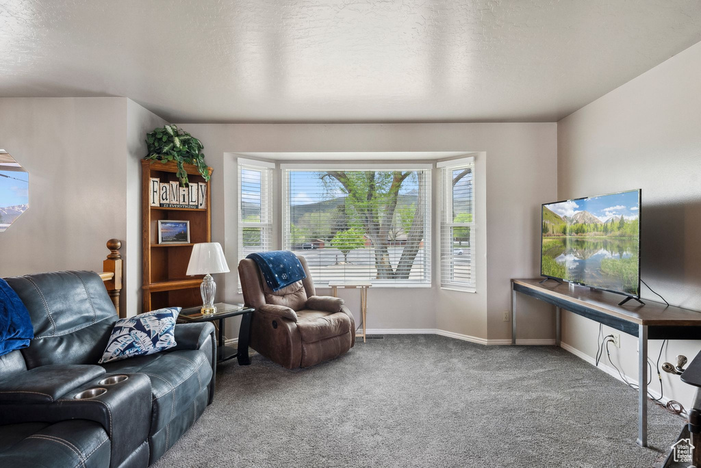 Living room with carpet flooring and baseboards