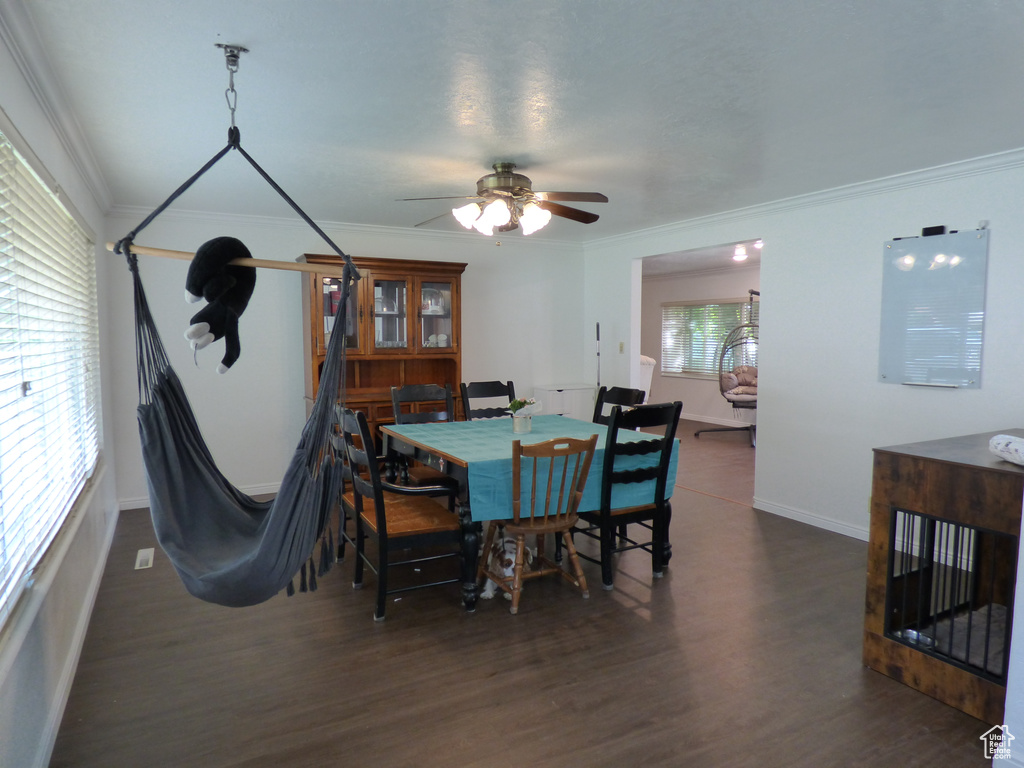 Dining space featuring crown molding, wood finished floors, baseboards, and a ceiling fan