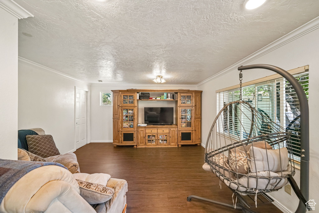 Living room with dark wood-type flooring, a textured ceiling, and ornamental molding