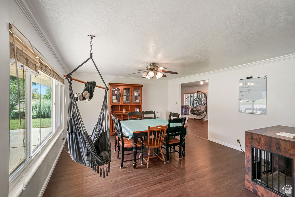 Dining area with a textured ceiling, plenty of natural light, ornamental molding, a ceiling fan, and dark wood-style floors