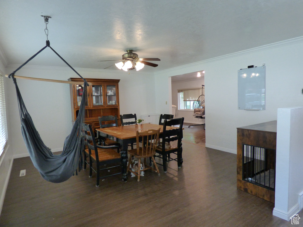 Dining room with crown molding, wood finished floors, baseboards, and a ceiling fan