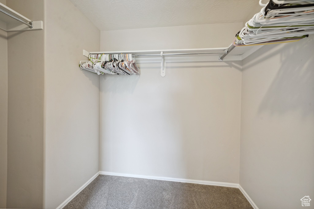 Walk in closet featuring carpet flooring