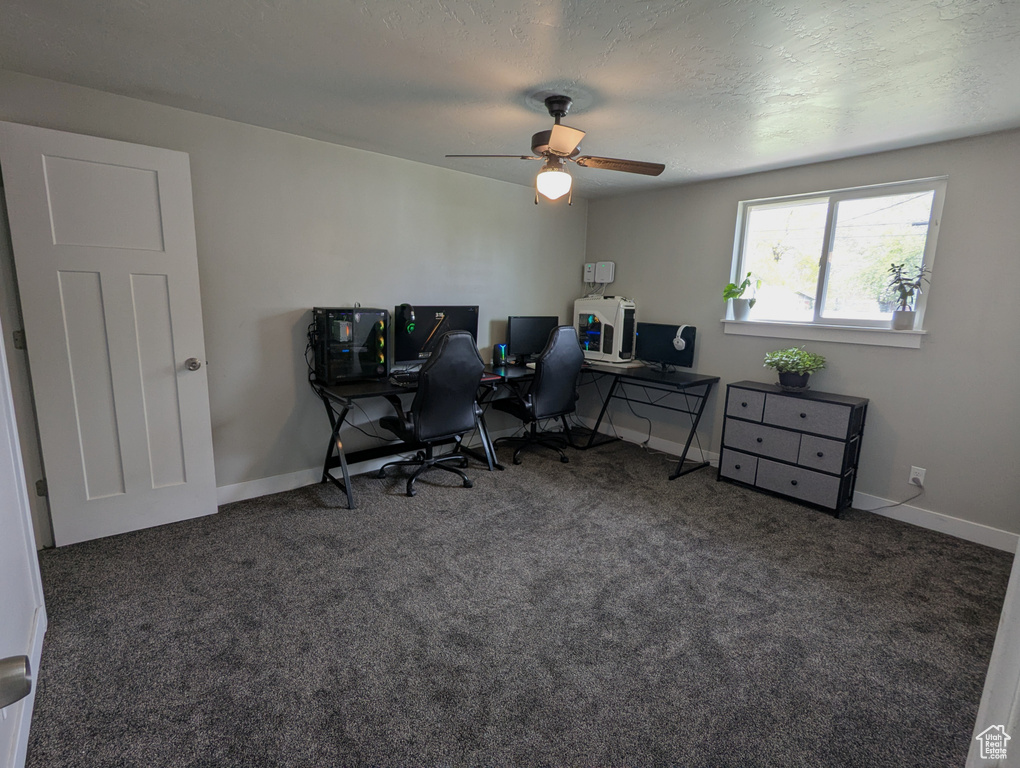 Office area with carpet flooring, a ceiling fan, and baseboards