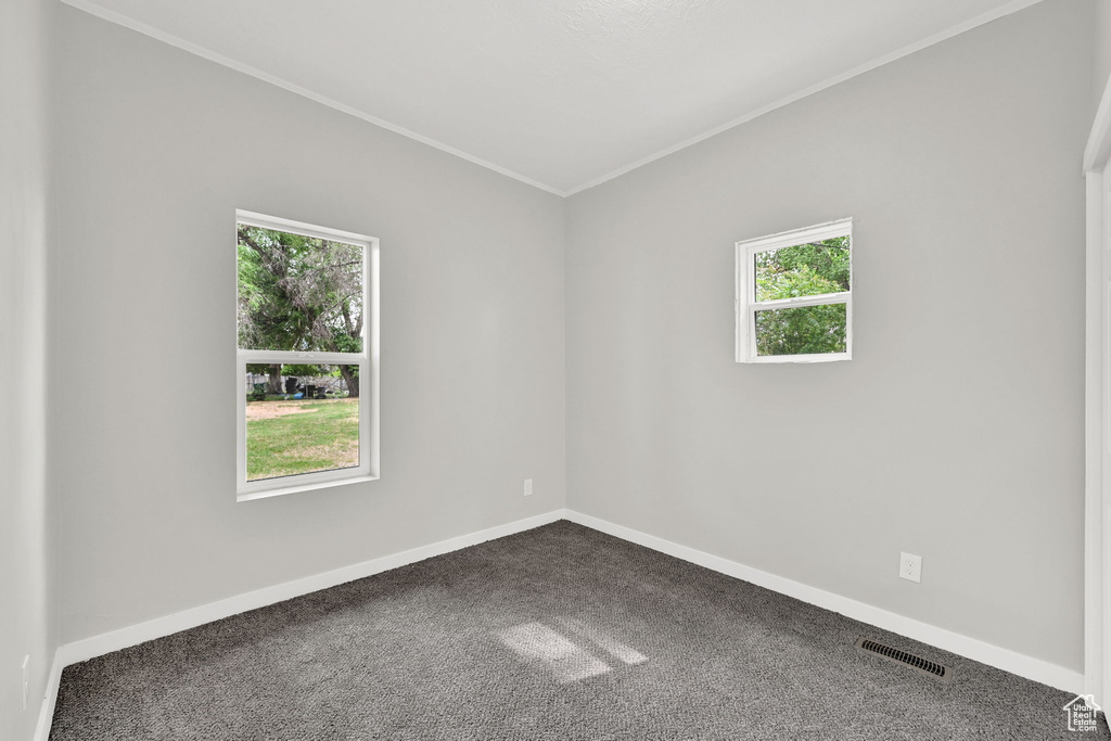 Spare room featuring healthy amount of natural light, dark colored carpet, baseboards, and ornamental molding