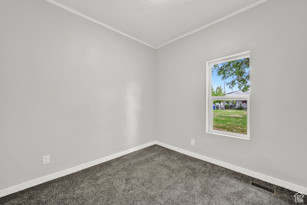 Empty room featuring crown molding, baseboards, dark carpet, and a textured ceiling