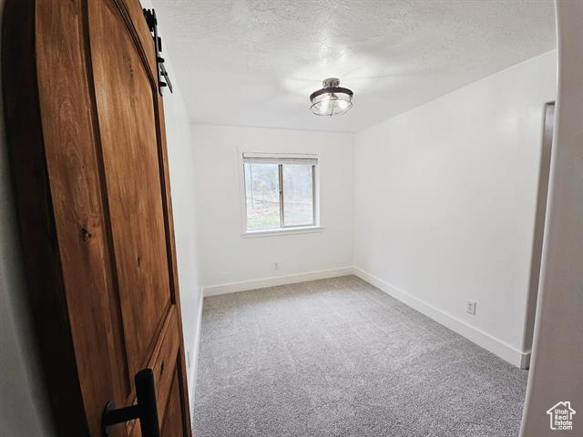 Unfurnished bedroom featuring carpet flooring, a closet, a textured ceiling, baseboards, and a barn door