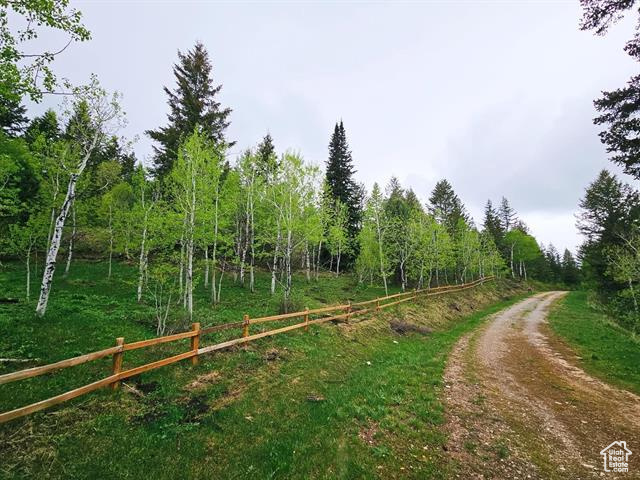 View of road