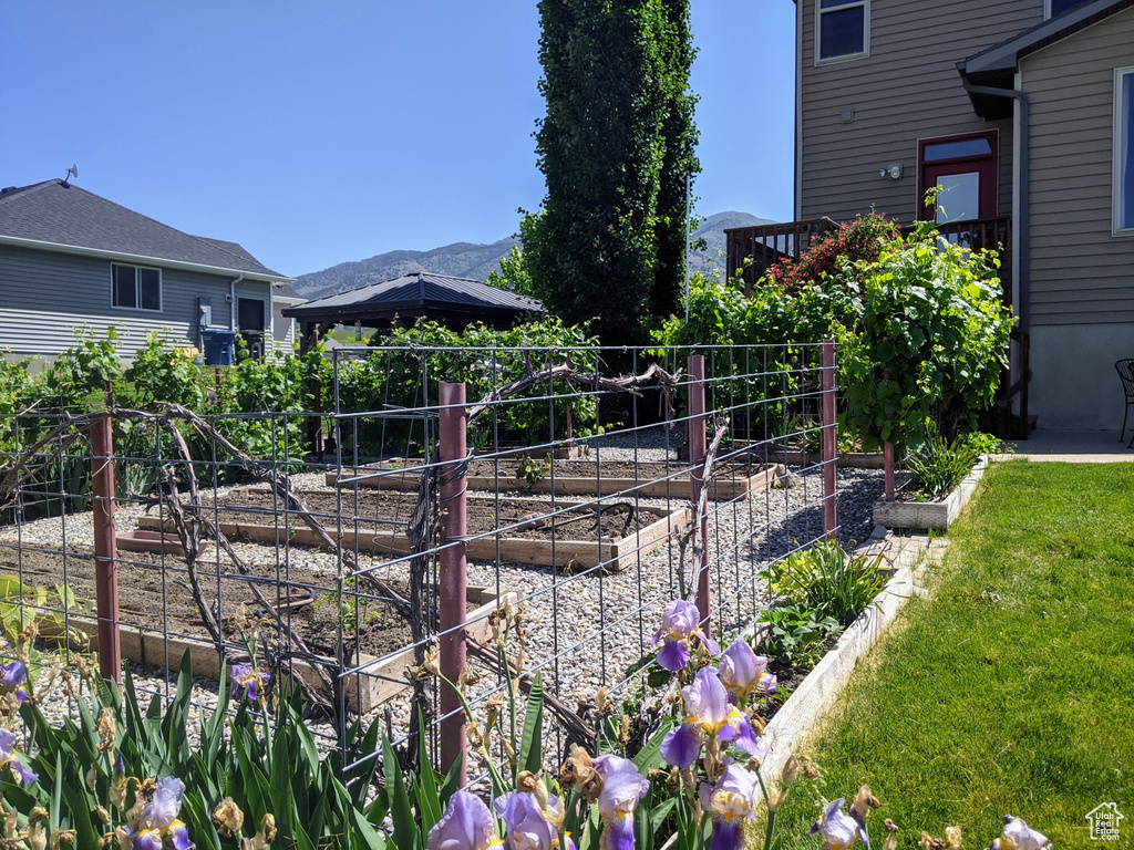 View of yard featuring a garden and a mountain view