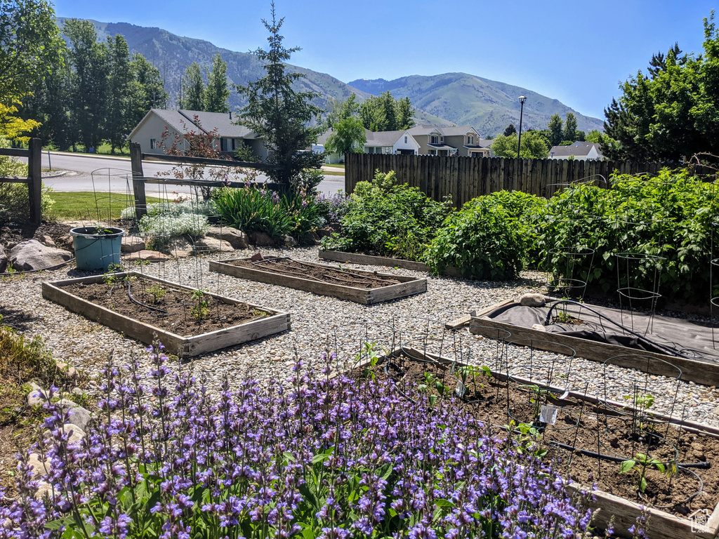View of yard with a garden and a mountain view