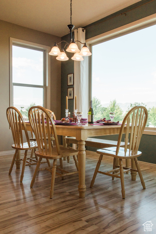 Dining area with a chandelier, baseboards, and wood finished floors