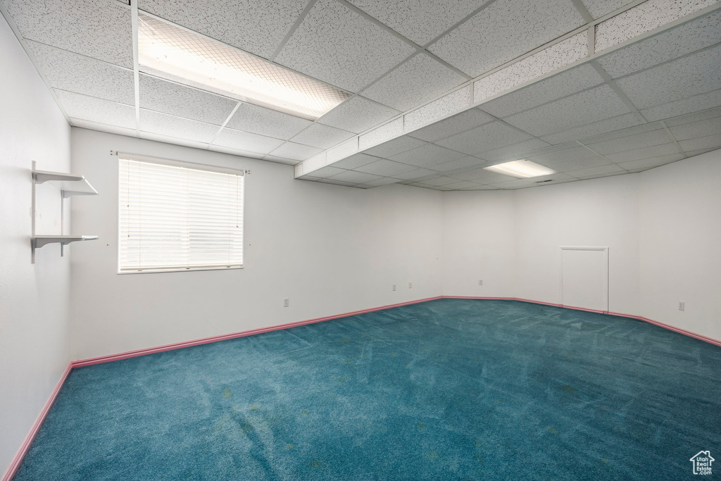 Unfurnished room featuring carpet, a drop ceiling, and baseboards