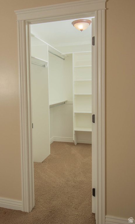Spacious closet featuring carpet floors