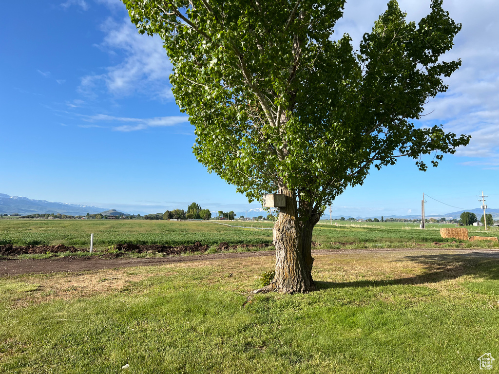 View of grassy yard with a view of rural / pastoral area