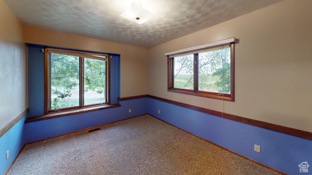 Carpeted spare room featuring healthy amount of natural light, baseboards, and a textured ceiling