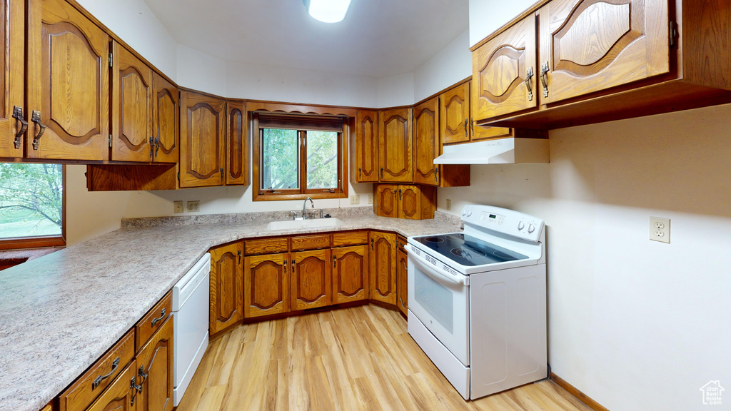 Kitchen with white appliances, under cabinet range hood, a sink, and brown cabinets