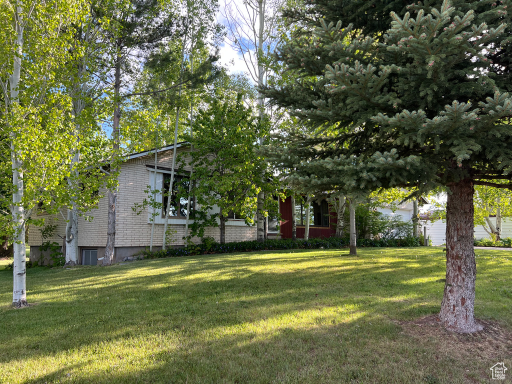 View of grassy yard