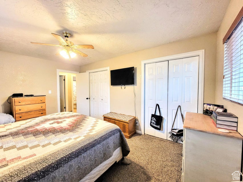 Bedroom featuring multiple closets, carpet flooring, multiple windows, ceiling fan, and a textured ceiling