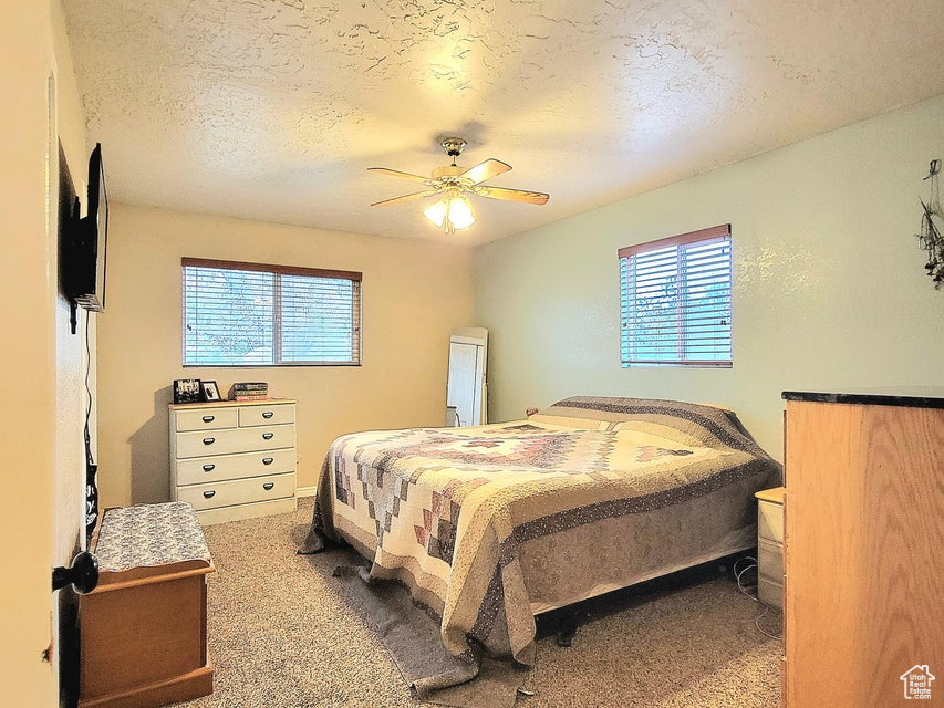 Carpeted bedroom featuring multiple windows, a textured ceiling, and a ceiling fan