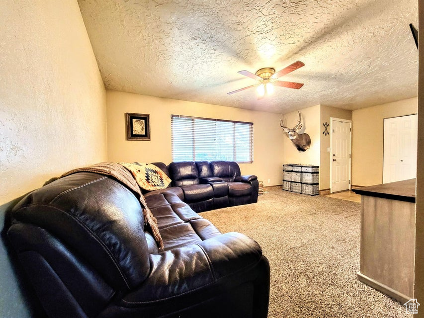 Living room featuring ceiling fan, carpet flooring, a textured ceiling, and baseboards
