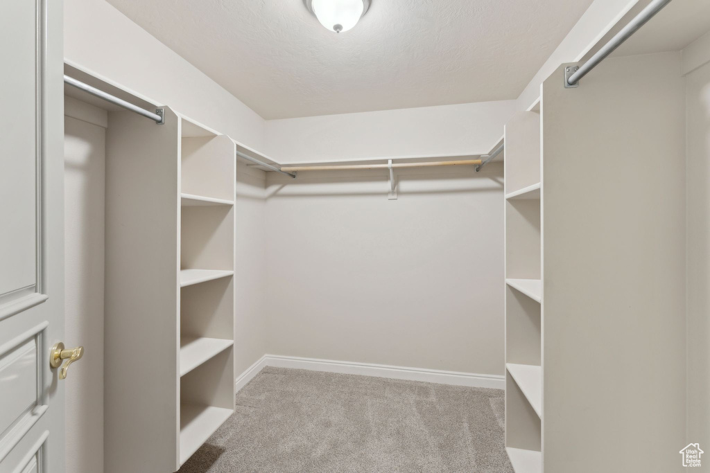 Spacious closet featuring carpet floors