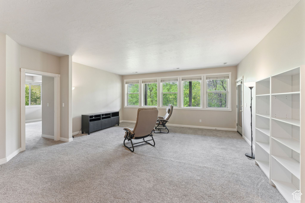 Living area featuring carpet floors, baseboards, and a textured ceiling