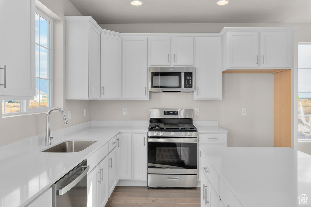 Kitchen with stainless steel appliances, a sink, recessed lighting, healthy amount of natural light, and white cabinetry