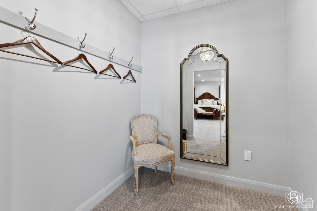 Living area featuring carpet, baseboards, and a paneled ceiling