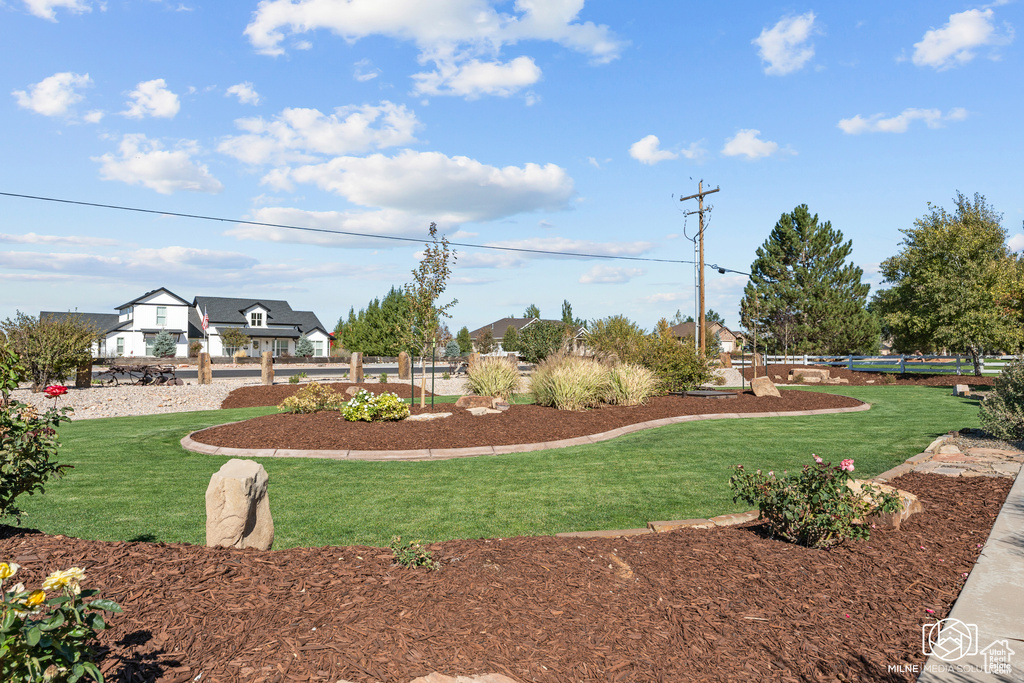 View of green lawn