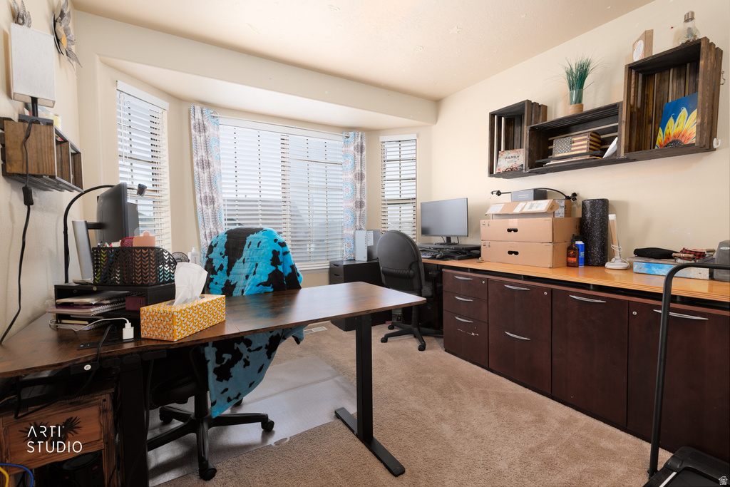 78 N PEACH ST Santaquin, UT 84655