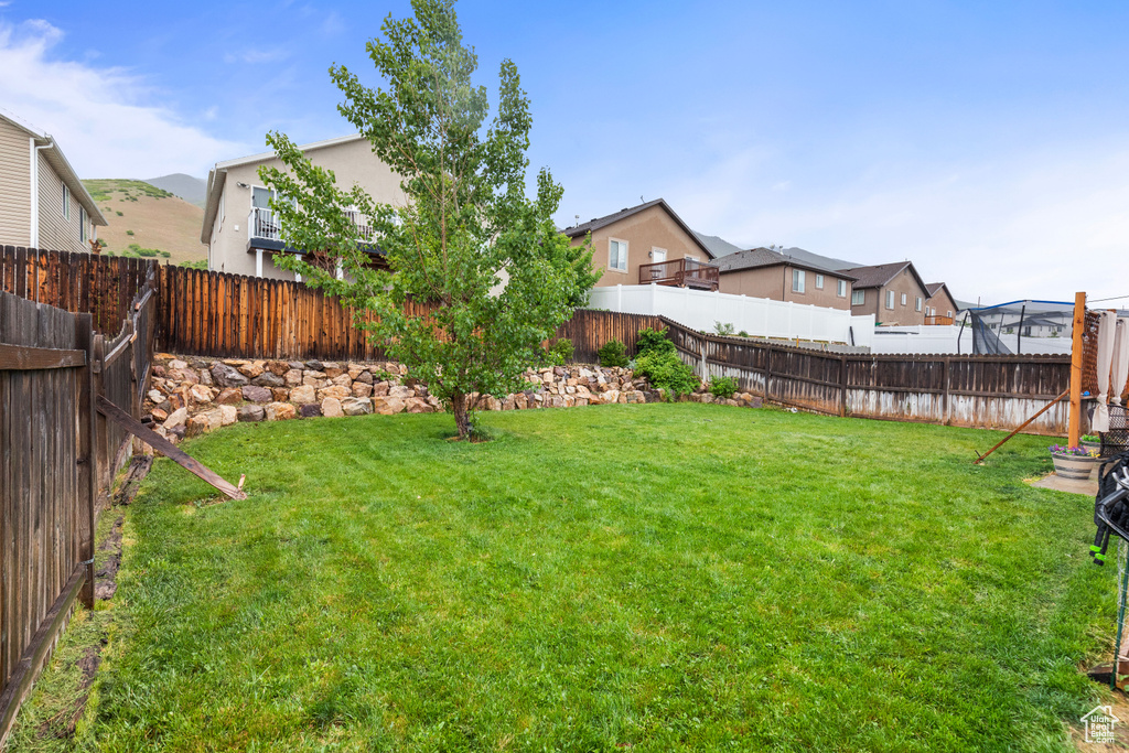 View of yard with a residential view