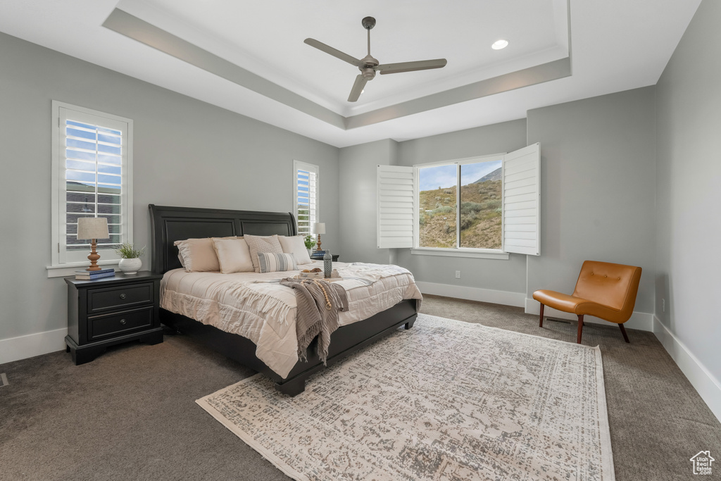 Bedroom featuring a tray ceiling, carpet flooring, baseboards, and a ceiling fan