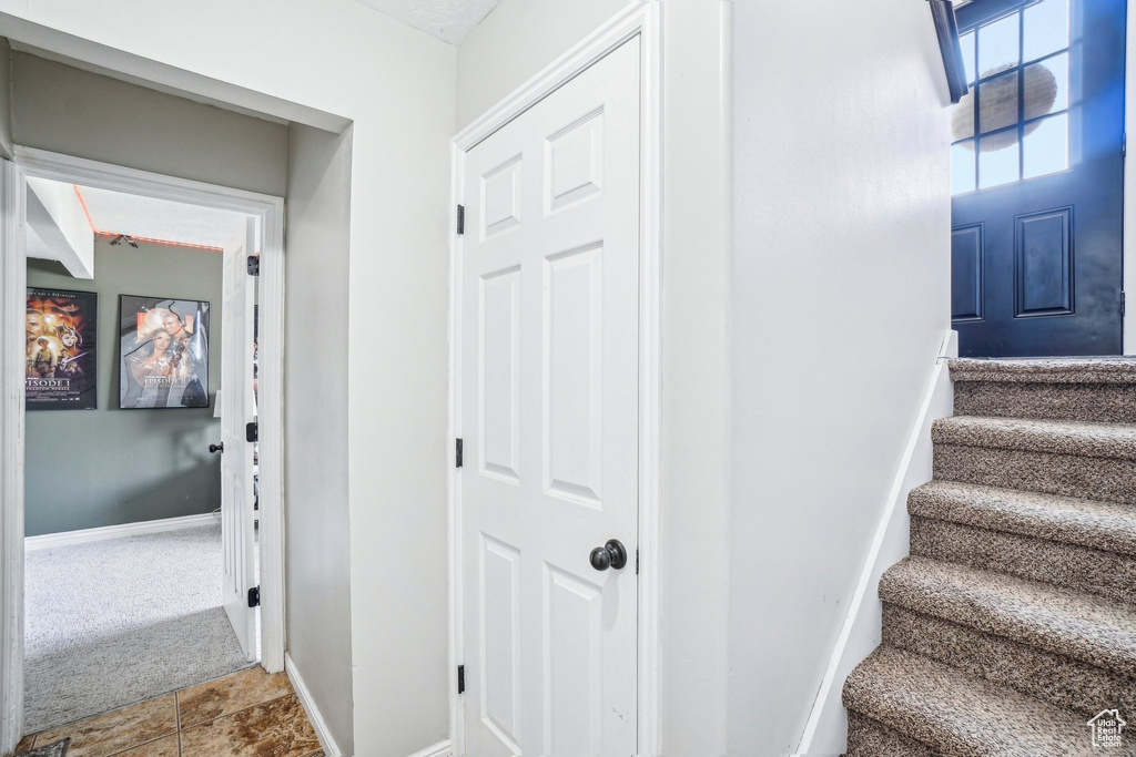 Stairs with baseboards and carpet flooring