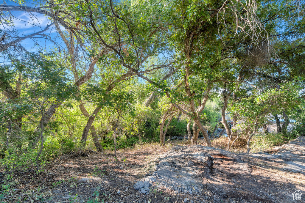 Photo 104 for MLS #2086016 at 861 N 1100 East