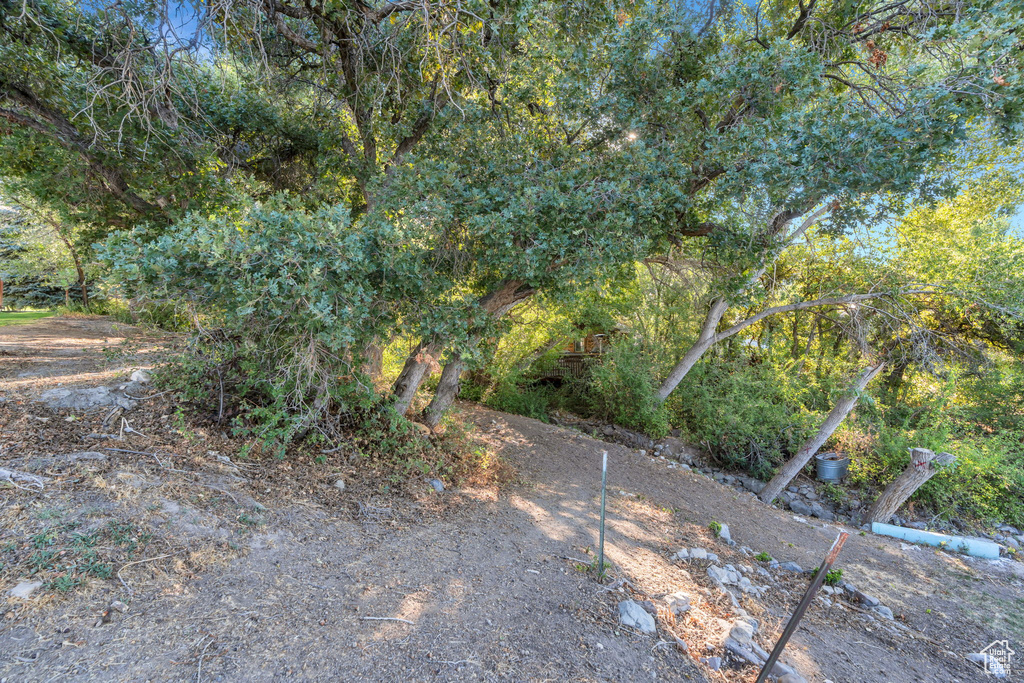 Photo 106 for MLS #2086016 at 861 N 1100 East