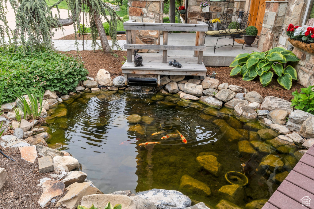 Exterior view of a small pond