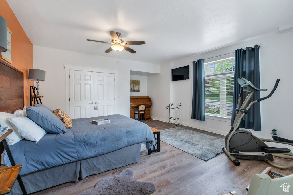 Bedroom with wood finished floors, ceiling fan, baseboards, and a closet