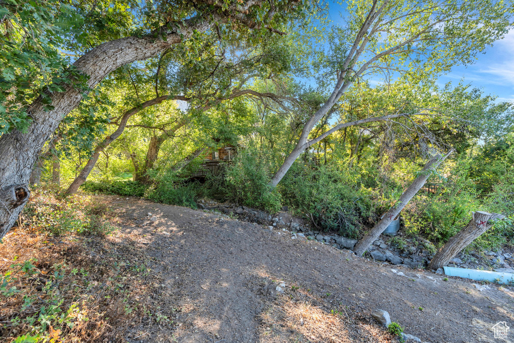 Photo 110 for MLS #2086016 at 861 N 1100 East