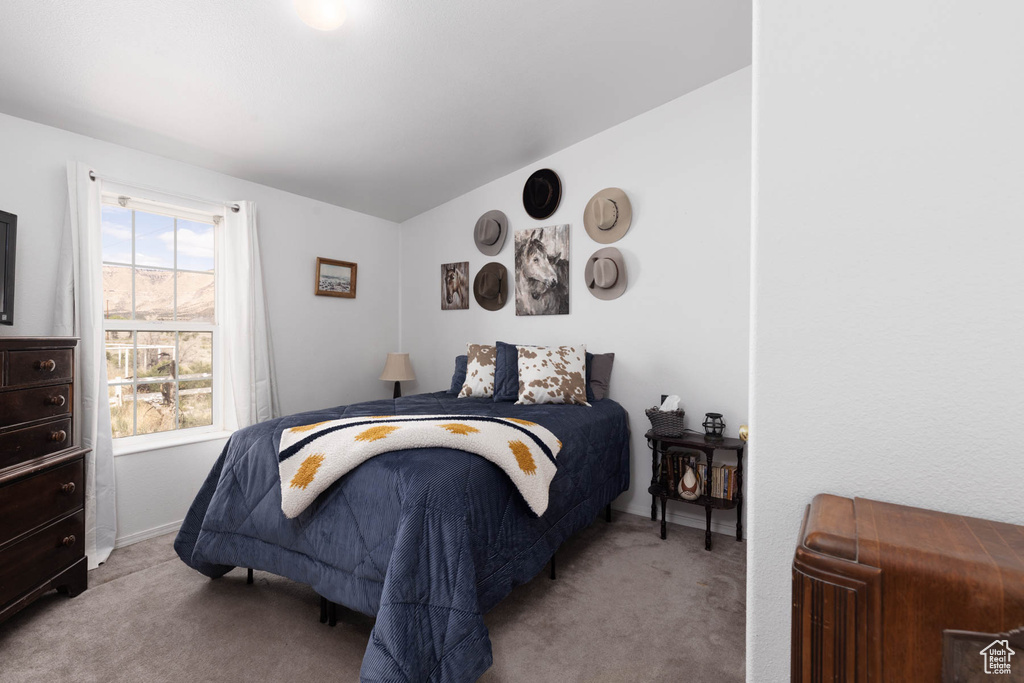 Bedroom featuring carpet and lofted ceiling