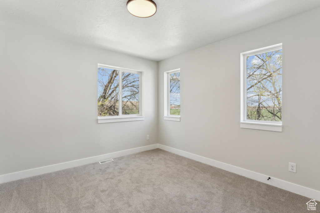 Carpeted spare room featuring healthy amount of natural light and baseboards