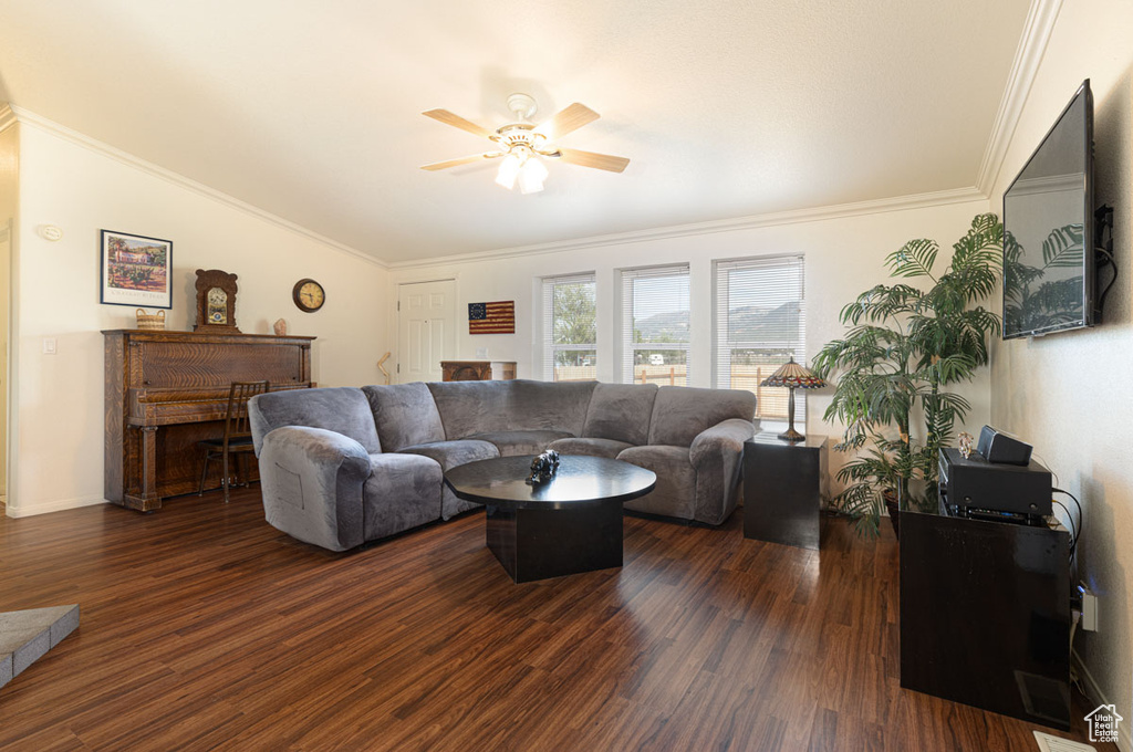 Living room with a ceiling fan, dark wood-type flooring, ornamental molding, and lofted ceiling