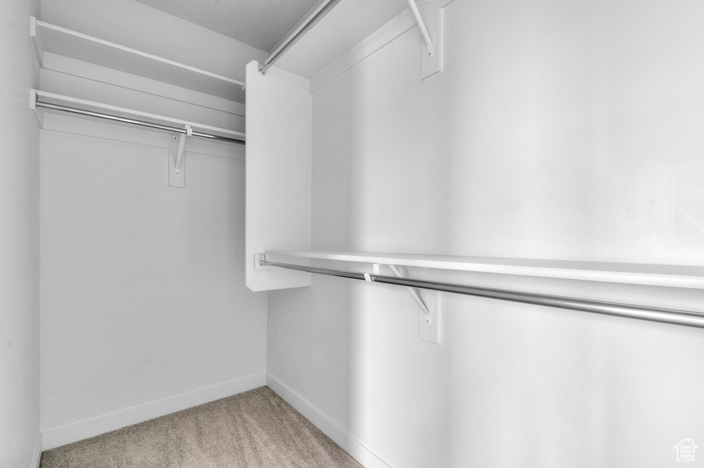 Spacious closet with carpet floors
