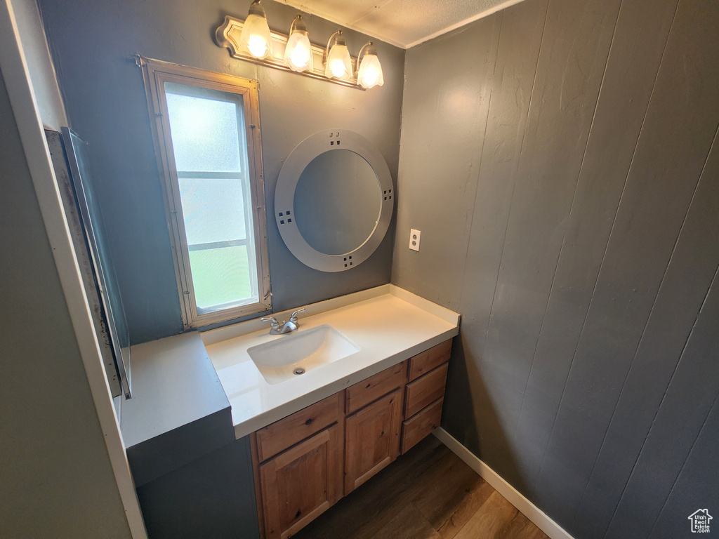 Bathroom with wood finished floors and vanity