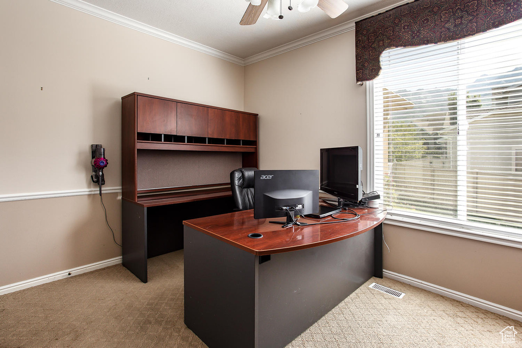 Carpeted office with ornamental molding, ceiling fan, and baseboards