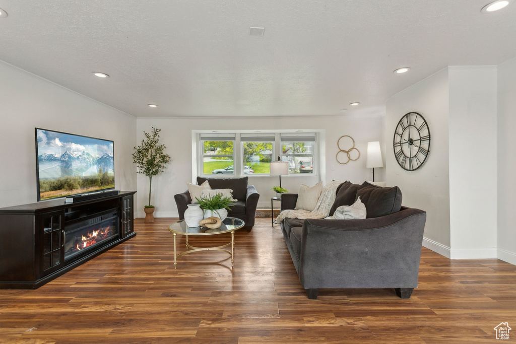 Living room with baseboards, wood finished floors, recessed lighting, and a glass covered fireplace