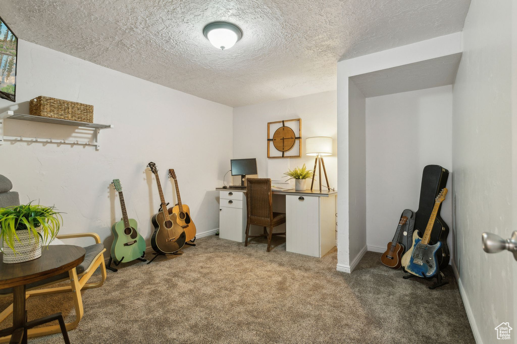 Carpeted home office with baseboards and a textured ceiling