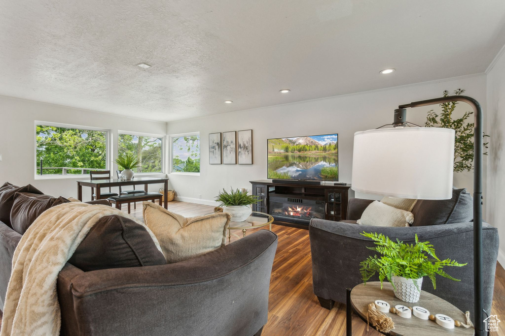 Living room featuring wood finished floors, recessed lighting, a textured ceiling, and a glass covered fireplace