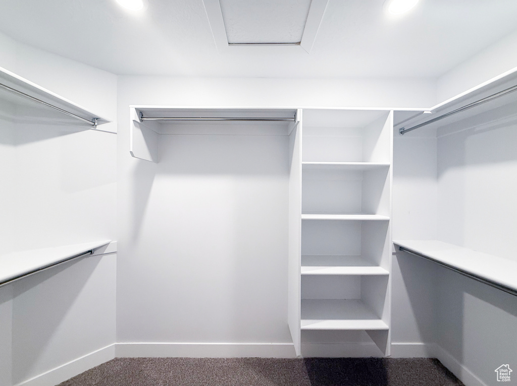 View of walk in closet