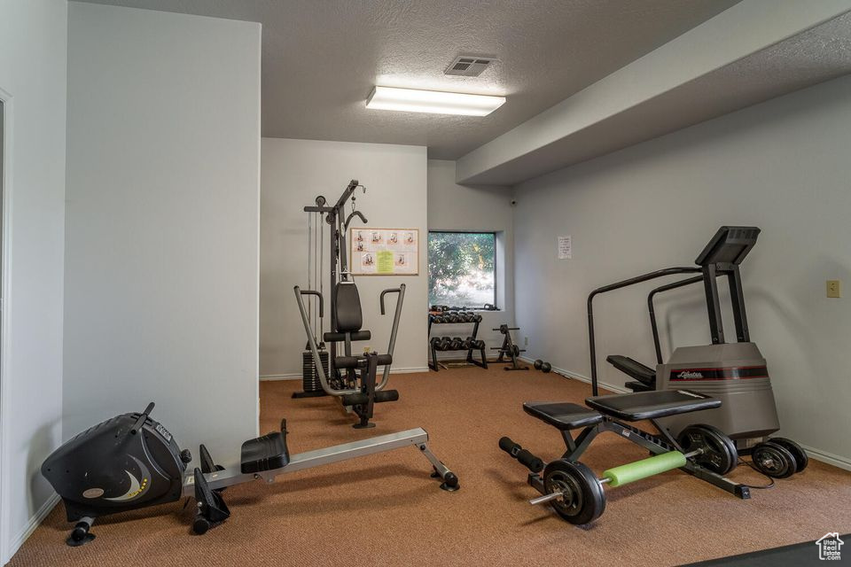 Exercise room featuring carpet floors, baseboards, and a textured ceiling