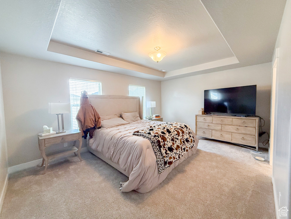 Carpeted bedroom featuring a raised ceiling and baseboards